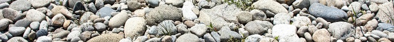 河原の石